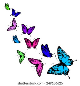 butterflies design