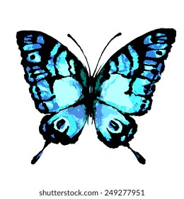 butterflies design