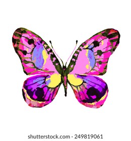 butterflies design