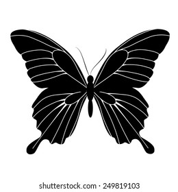 butterflies design