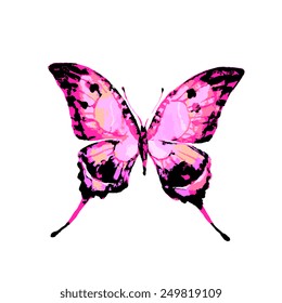 butterflies design