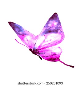 butterflies design