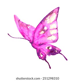 butterflies design