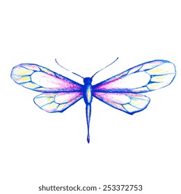 butterflies design
