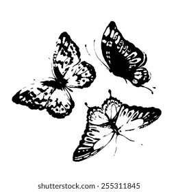 butterflies design
