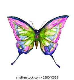 butterflies design