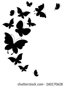 butterflies design