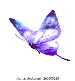 diseño mariposas