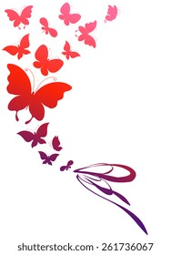 butterflies design