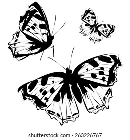 butterflies design