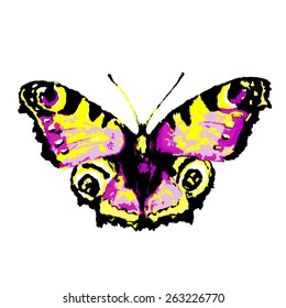 butterflies design