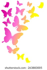 butterflies design