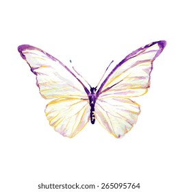 butterflies design
