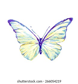 butterflies design