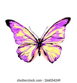 butterflies design