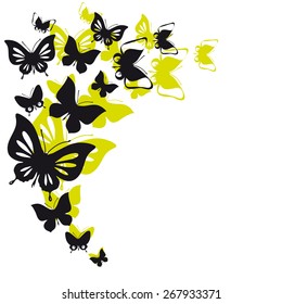 butterflies design