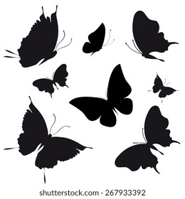 butterflies design