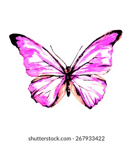 butterflies design