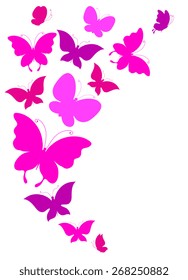 butterflies design