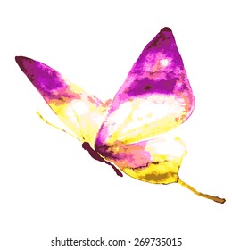 butterflies design