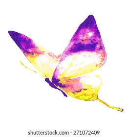 butterflies design