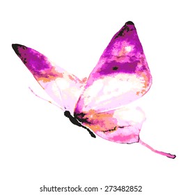 butterflies design