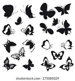 butterflies design