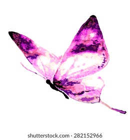 butterflies design