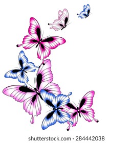 butterflies design