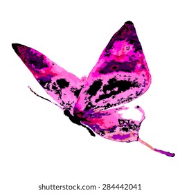 butterflies design