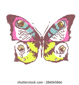butterflies design