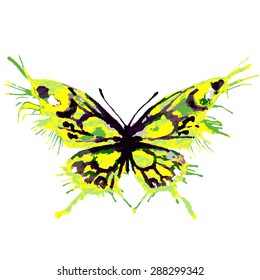 butterflies design