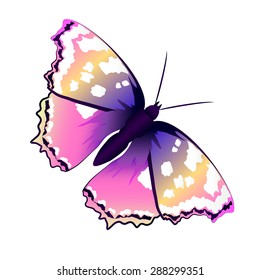 butterflies design
