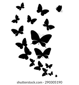 butterflies design
