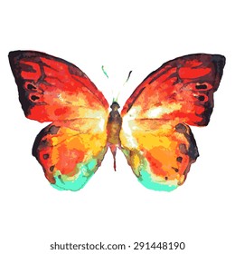 butterflies design