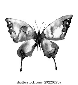 butterflies design