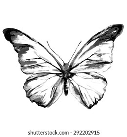 butterflies design