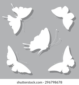 butterflies design
