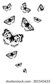 butterflies design