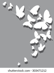 butterflies design