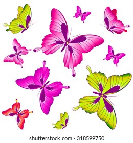 butterflies design