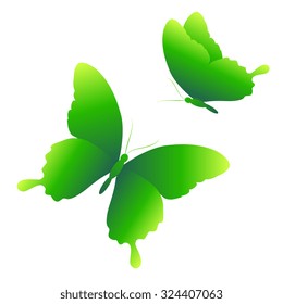 butterflies design