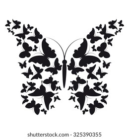 butterflies design
