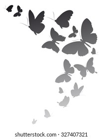 butterflies design