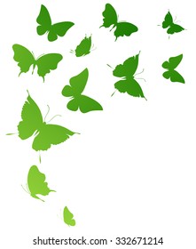 butterflies design