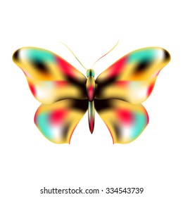 butterflies design