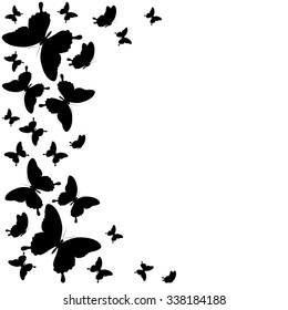 butterflies design