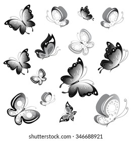 butterflies design