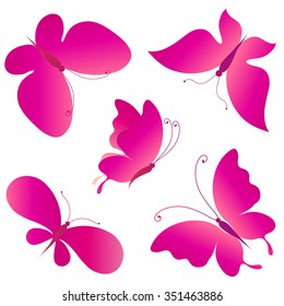 butterflies design