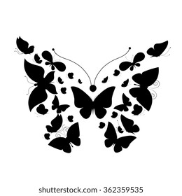 butterflies design